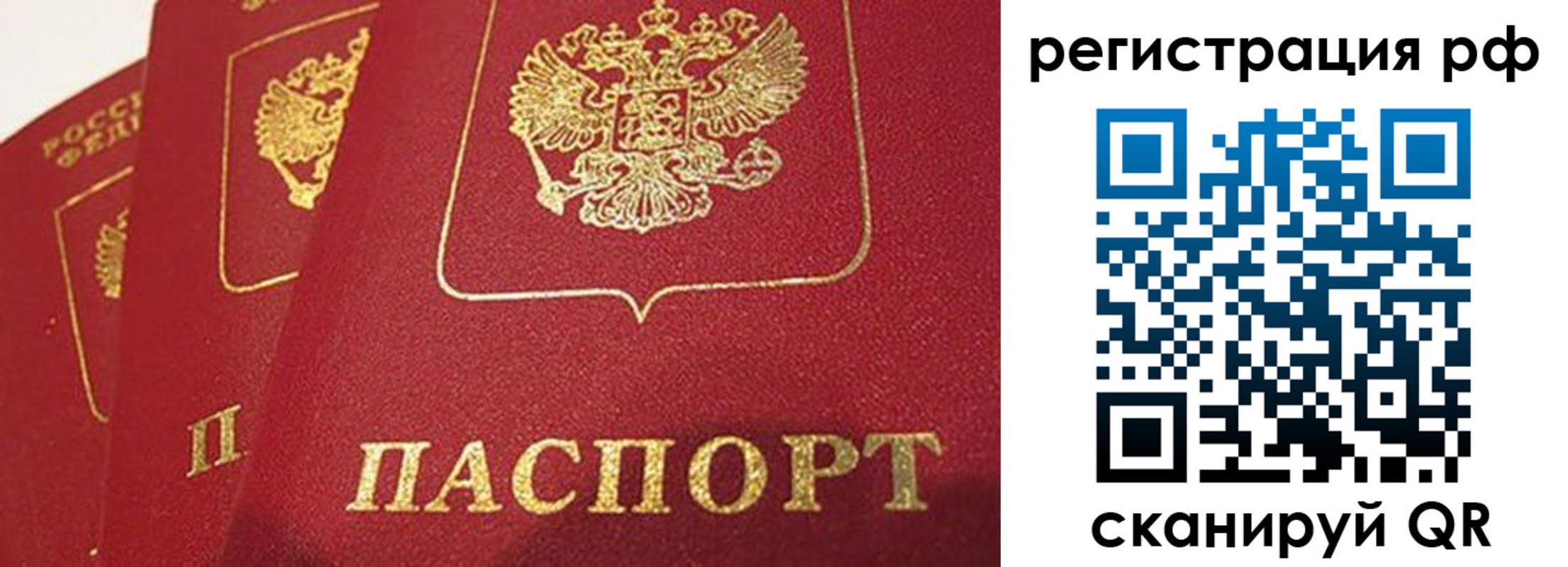 прописка в квартире в Истре